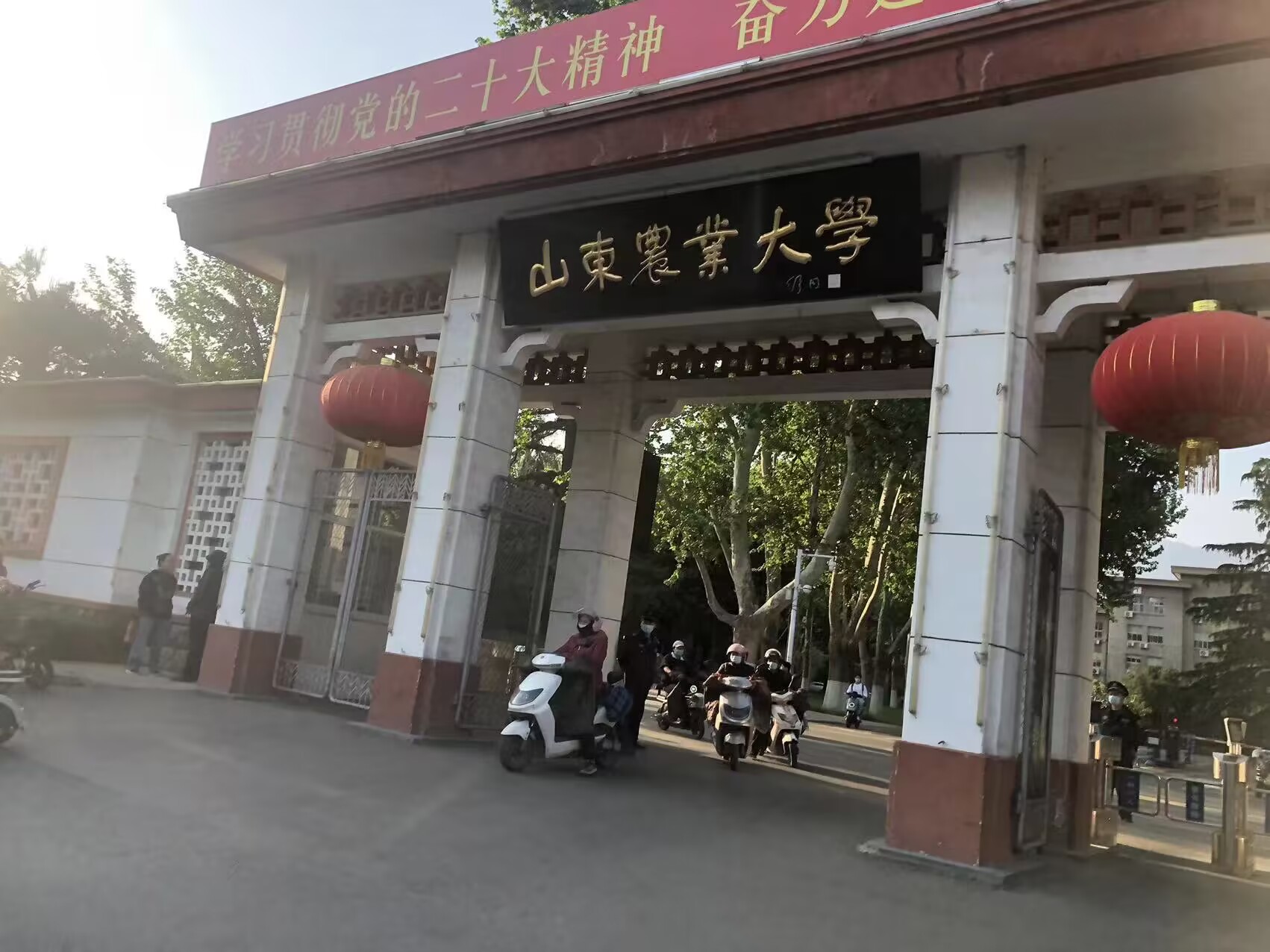 山東農(nóng)業(yè)大學食品科學與工程學院2